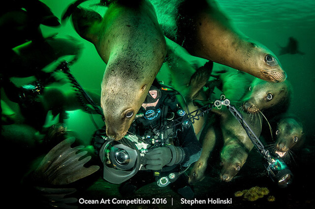 Fotógrafo submarino entre leones marinos