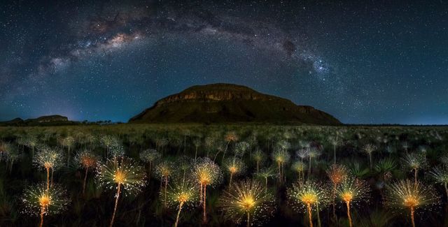 Naturaleza del parque nacional de Veadeiros con cielo estrellado